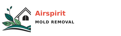Airspirit Mold Removal